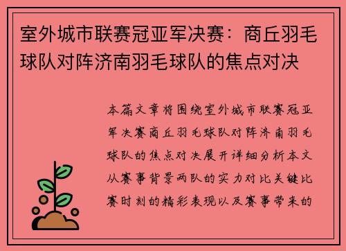 室外城市联赛冠亚军决赛：商丘羽毛球队对阵济南羽毛球队的焦点对决
